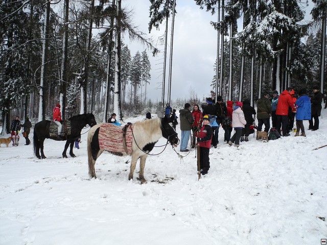 img00008.jpg