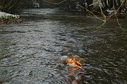 2008_0322_Jaroslavení_14
